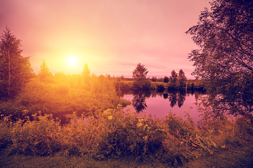 Lakeshore with reflection in the autumn morning. Beautiful idyllic autumn nature. Rovaniemi,  Finland.