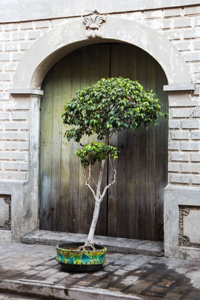istock Vigan old town , Luzon, philippines 811233840