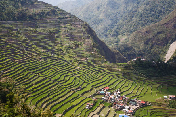 istock Panoramic view of the Batad rice terraces,Ifugao, Banaue, Philippines 811234116
