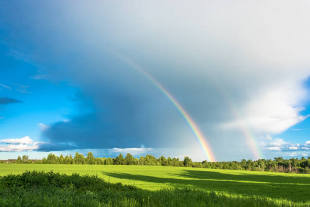 istock Colorful rainbow over the highway. 811255274
