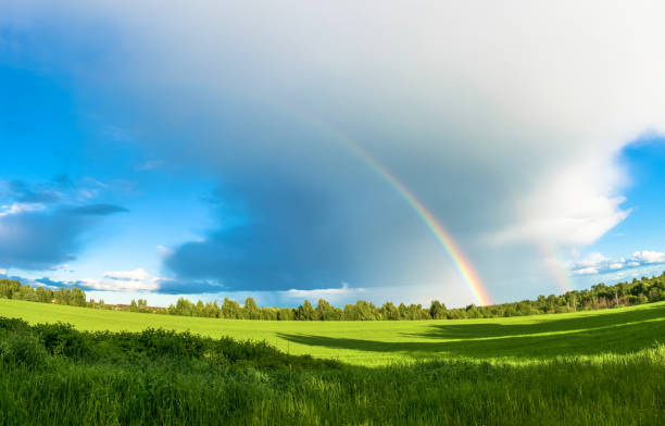 istock Colorful rainbow over the highway. 811255300