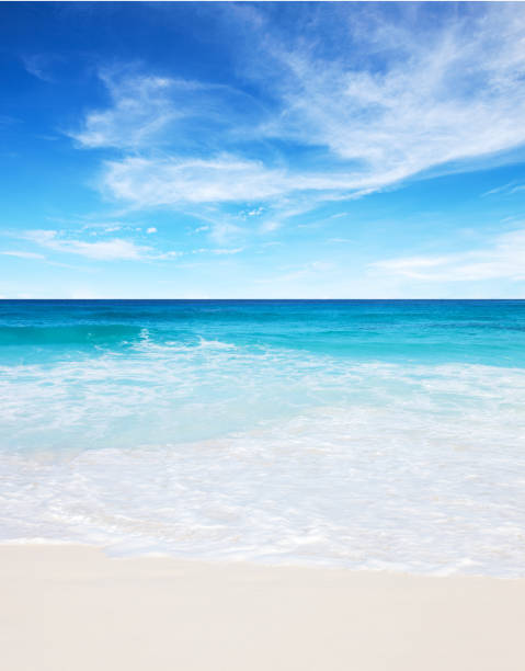 istock Tropical white sand beach and blue sky at summer sunny day. Seychelles 811255620