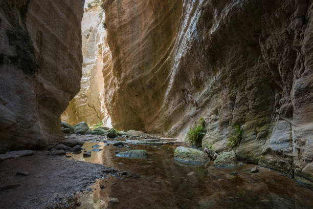 istock Play of light and shadow in Avakas canyon 811255738