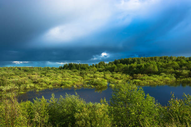 Beautiful landscape with a small lake, sunlit and disturbing storm sky.