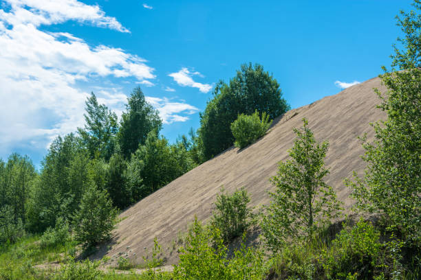 istock Sand dunes overgrown with young trees and shrubs. 811255914