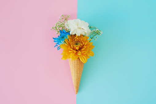 Shot of a cone stuffed with flowers against a colorful background
