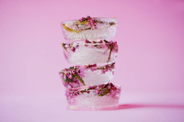 The prettiest ice cubes ever!