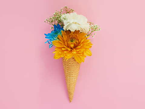 Shot of a cone stuffed with flowers against a colorful background