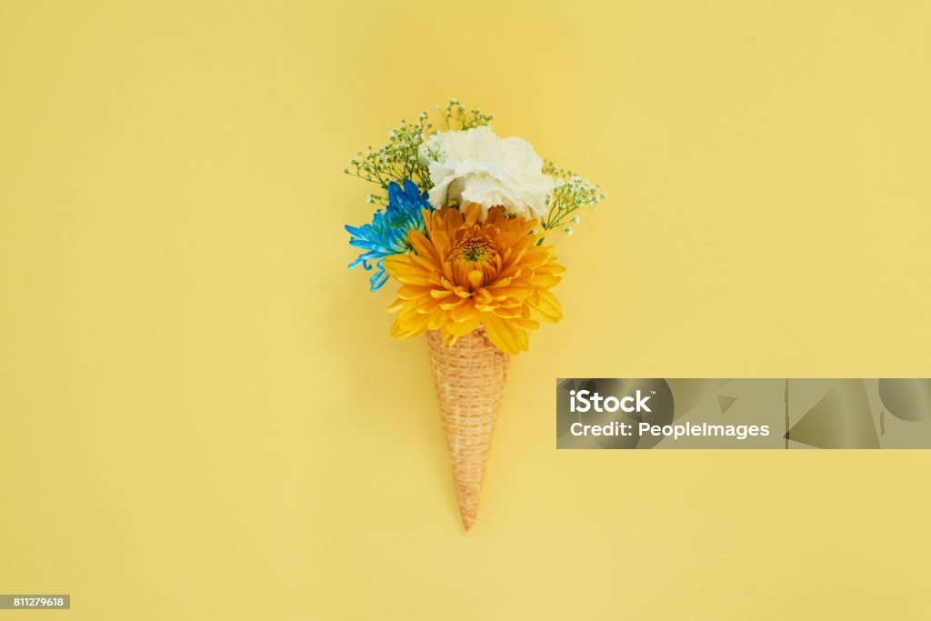 Spring has sprung Shot of a cone stuffed with flowers against a colorful background Creativity Stock Photo