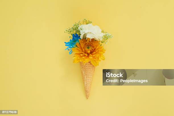 Spring Has Sprung Stock Photo - Download Image Now - Creativity, Flower, Ice Cream