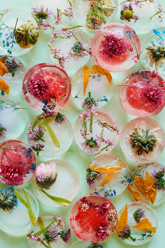 Studio shot of flowers frozen into ice blocks