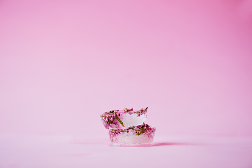 Studio shot of flowers frozen into ice blocks against a pink background