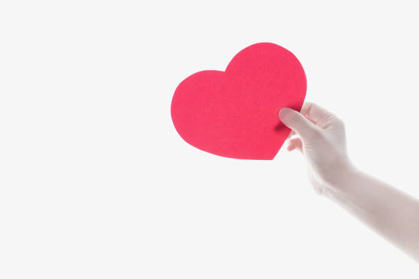 istock Female hands holding red  heart shape 811279898