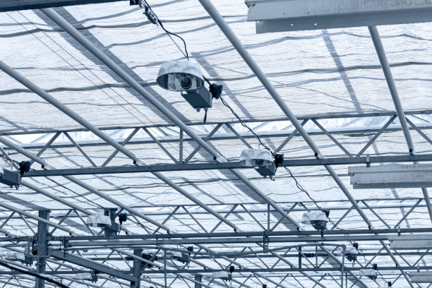 istock transparent roof inside greenhouse. structural glass ceiling. 811285700