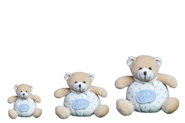 istock lovely brown teddy bear isolated on white background 811291206