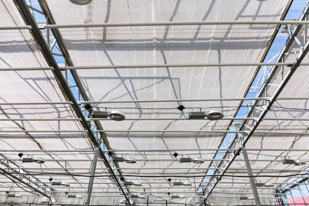 istock greenhouse interior with lamps under glass roof 811298466