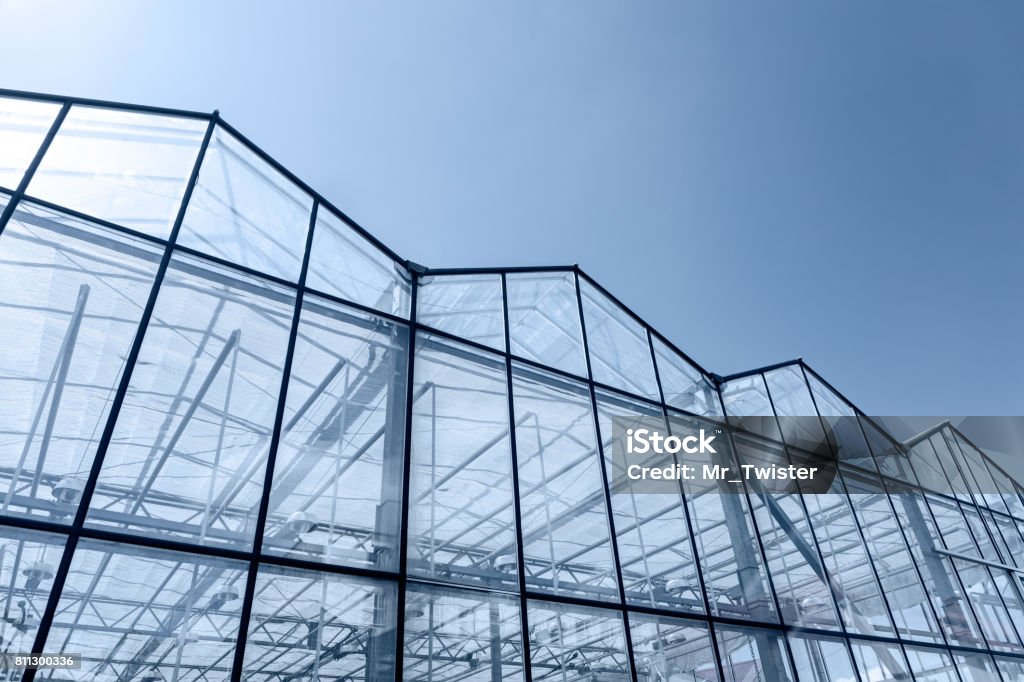 transparent glass wall of agricultural greenhouse against blue sky transparent glass wall of agricultural greenhouse against blue sky background Greenhouse Stock Photo