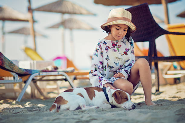 Little girl is stroking her sleeping dog under a beach umbrella