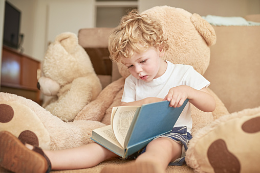 Shot of an adorable little boy reading with his teddy bear at home