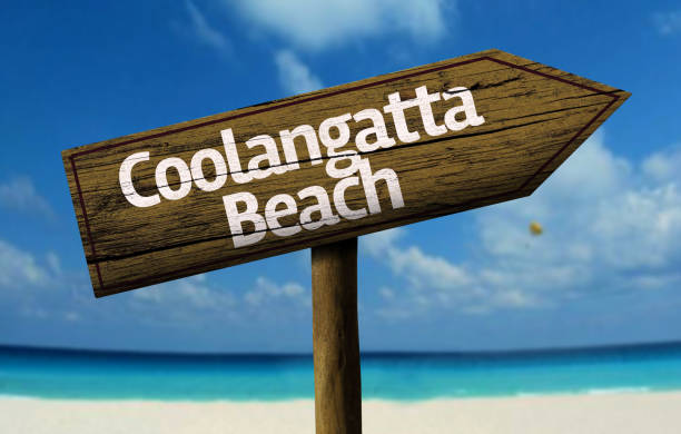 istock Coolangatta beach wooden sign on the beach 811334040