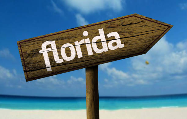 istock Florida wooden sign on the beach 811334268