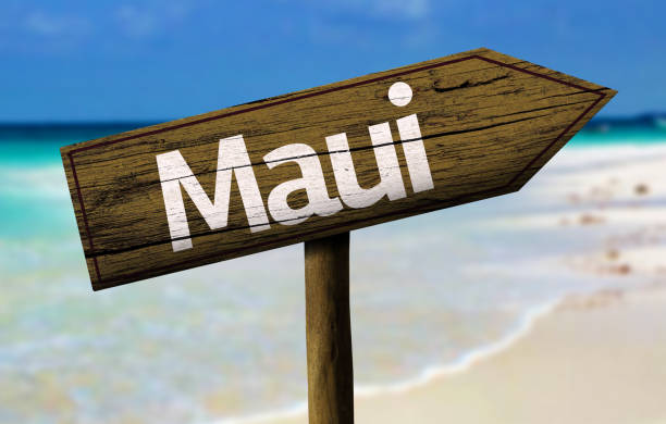 istock Maui wooden sign on the beach 811355432