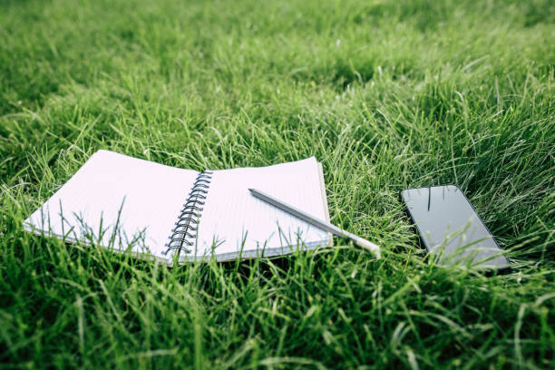 istock Close-up view of smartphone with blank screen, empty notebook and pencil on green grass 811355538