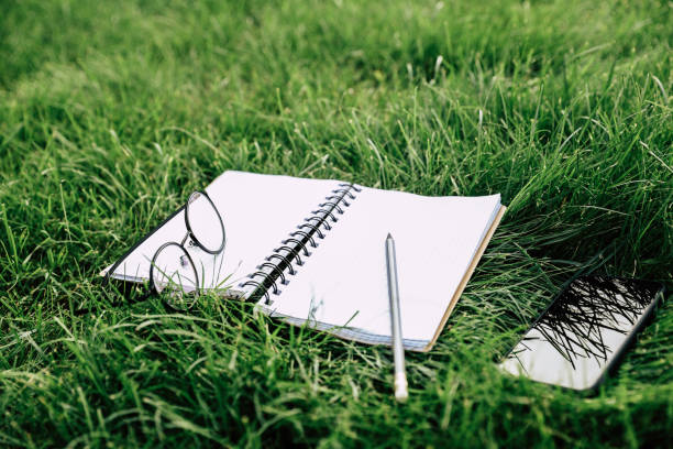 istock Close-up view of blank notebook with pencil, eyeglasses and smartphone on green grass 811355708