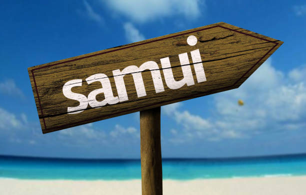 istock Samui wooden sign on the beach 811355762