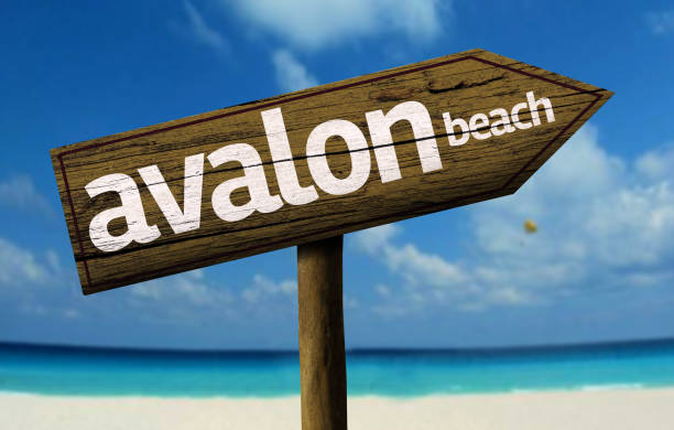 istock Avalon beach wooden sign on the beach 811355780