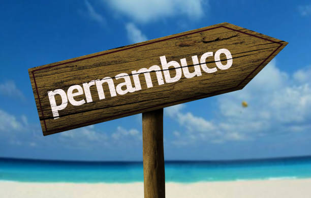 istock Pernambuco wooden sign on the beach 811360740