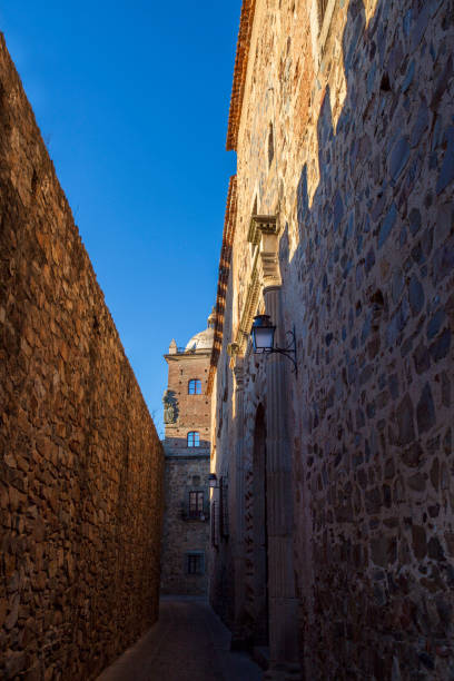 istock Narrow street at monumental complex of Caceres 811367486