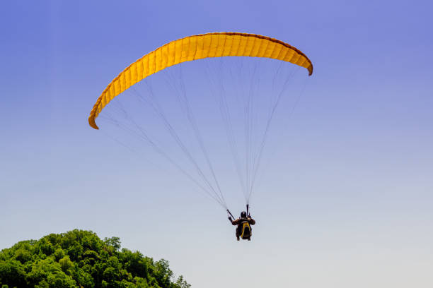 istock Paraglider flying above hill in summer day 811380162