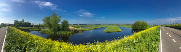 istock panoramic view of the Voorofsche Polder 811380496
