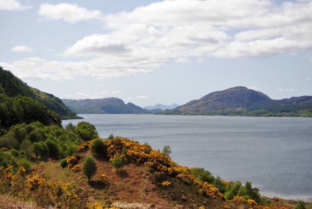 istock Mountains with flower in foreground 811385908