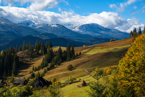 Autumn in mountains. A green valley with fir trees on the background of blue mountains and clouds