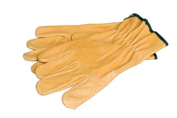 istock Real leather work gloves, isolated on white background 811403806