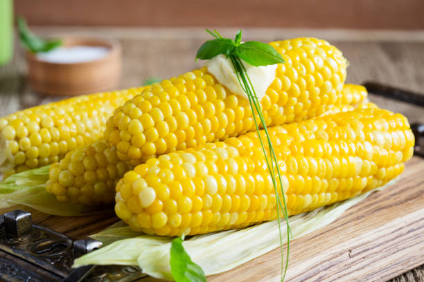 homemade boiled corn on cob with butter and salt - agriculture close up corn corn on the cob imagens e fotografias de stock