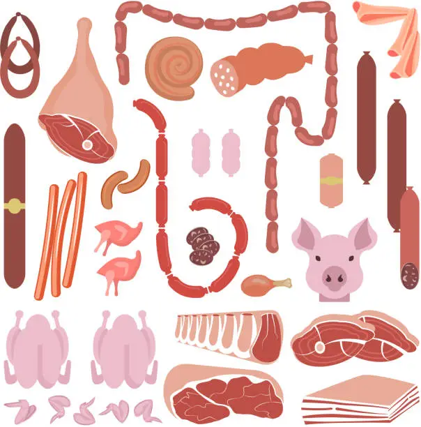 Vector illustration of Meat and sausages collection