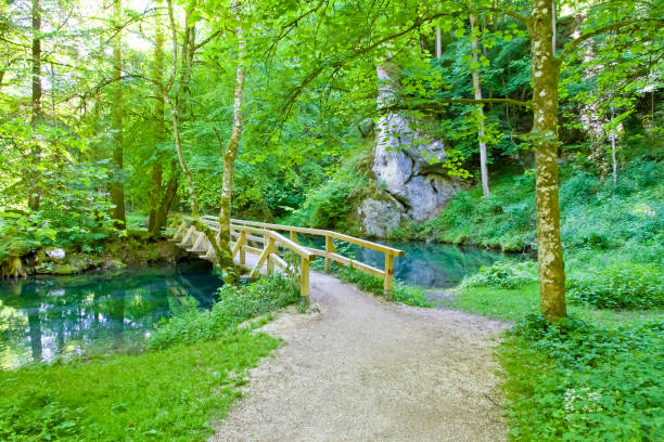 Camping in Bolu yedigöller national park, büyükgöl, büyük göl