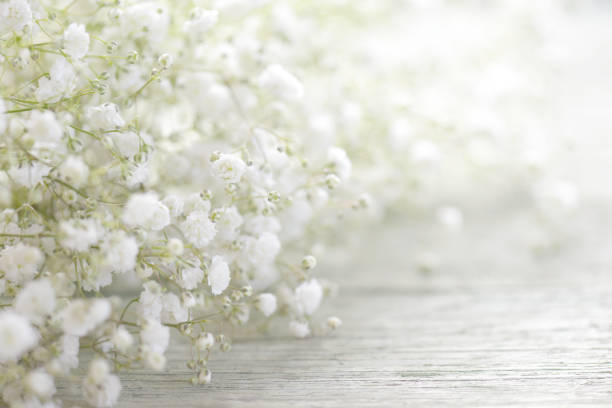 istock beautiful flowers on wooden background 811444796