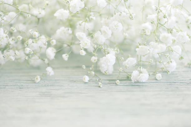 istock beautiful flowers on wooden background 811453818