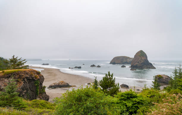istock Beach rocks fog Oergon coastline 811454476