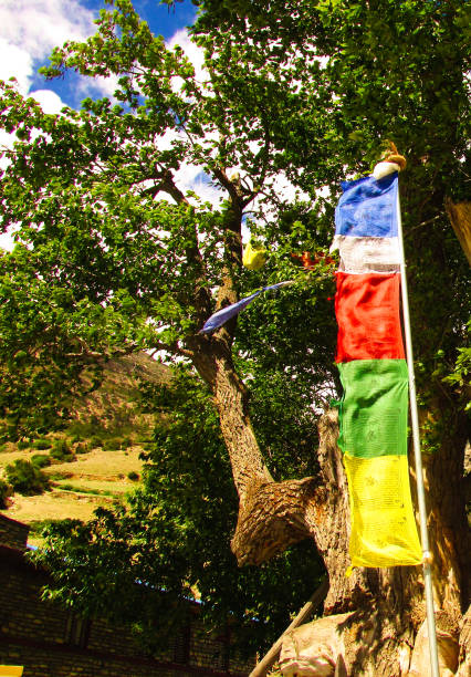 istock treking around Annapurna circuit 811458920