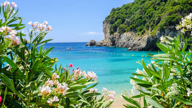 Beach Paleokastritsa on the Island Corfu, Greece.