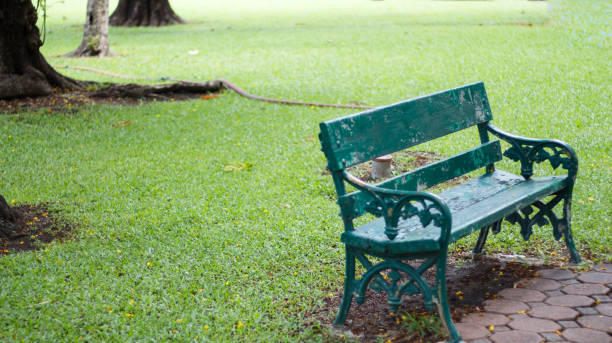 istock empty green wooden bench in garden. Alone and lonely concepts. 811467892