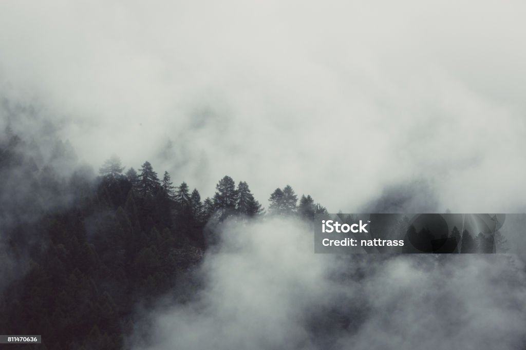 Paysage brumeux mountan - Photo de Brouillard libre de droits