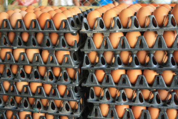 istock egg in black plastic pallets for sale,organic,patterns 811470790