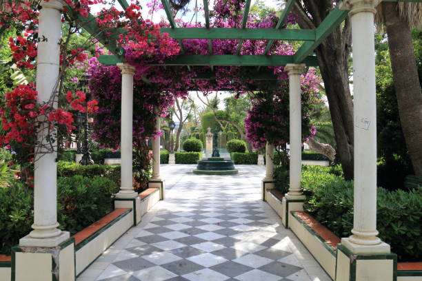 istock The Genoves park, in Cadiz, Spain 811478498