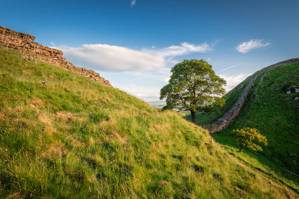 istock Hadrian's Wall at Sycamore Gap 811489932